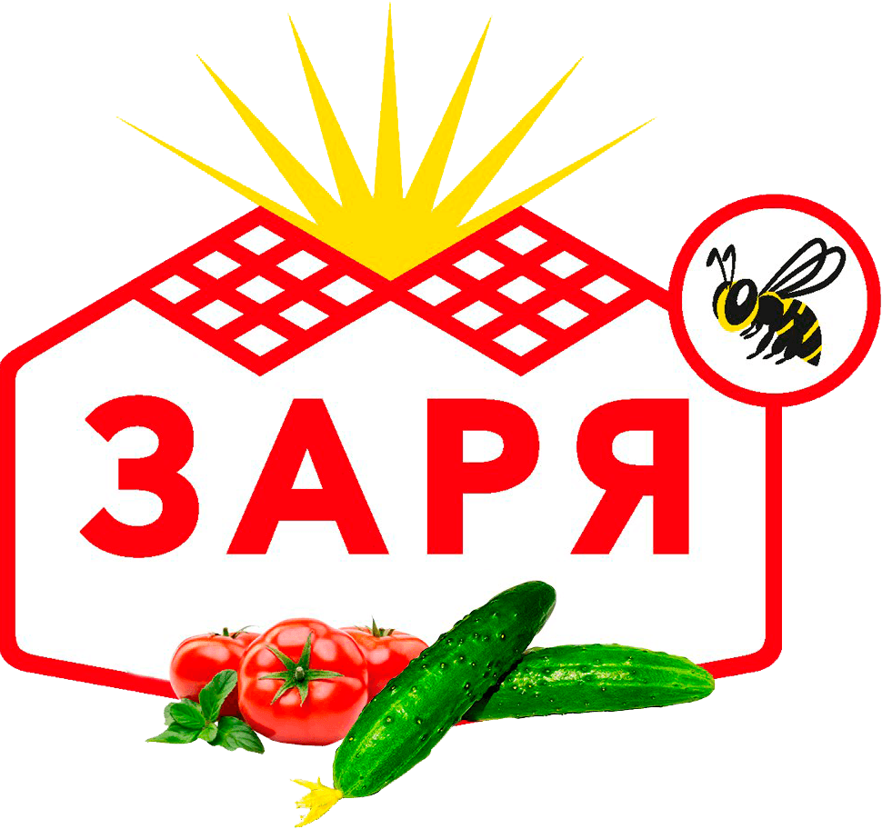 Полиграфия в Волгограде